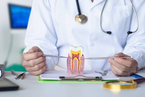 Best Emergency Dental Services for Seniors in Cera, AL